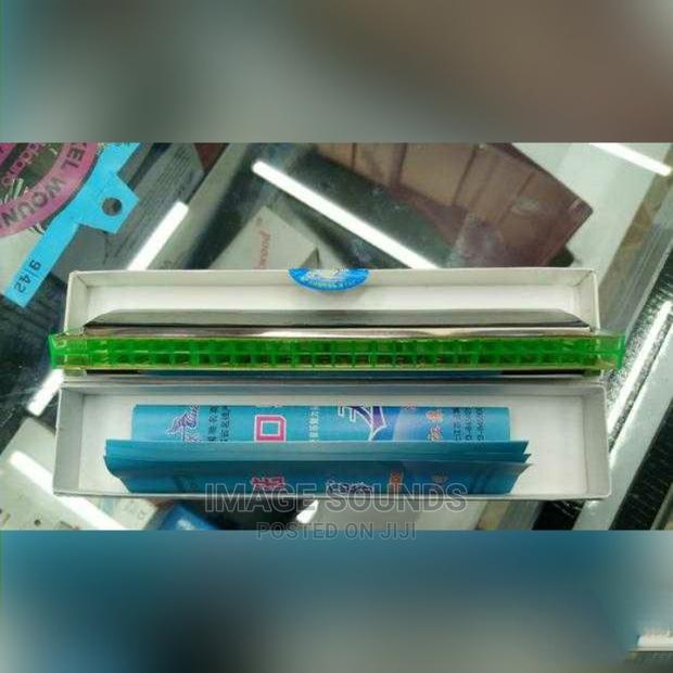 Harmonica- Swan - main view