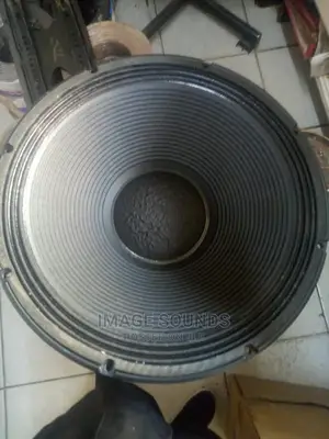 RCF 18" Speaker