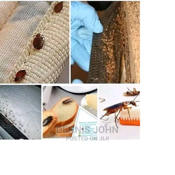 Menace Pest Control and Fumigation