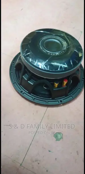 Lavi 10 Inch Speaker
