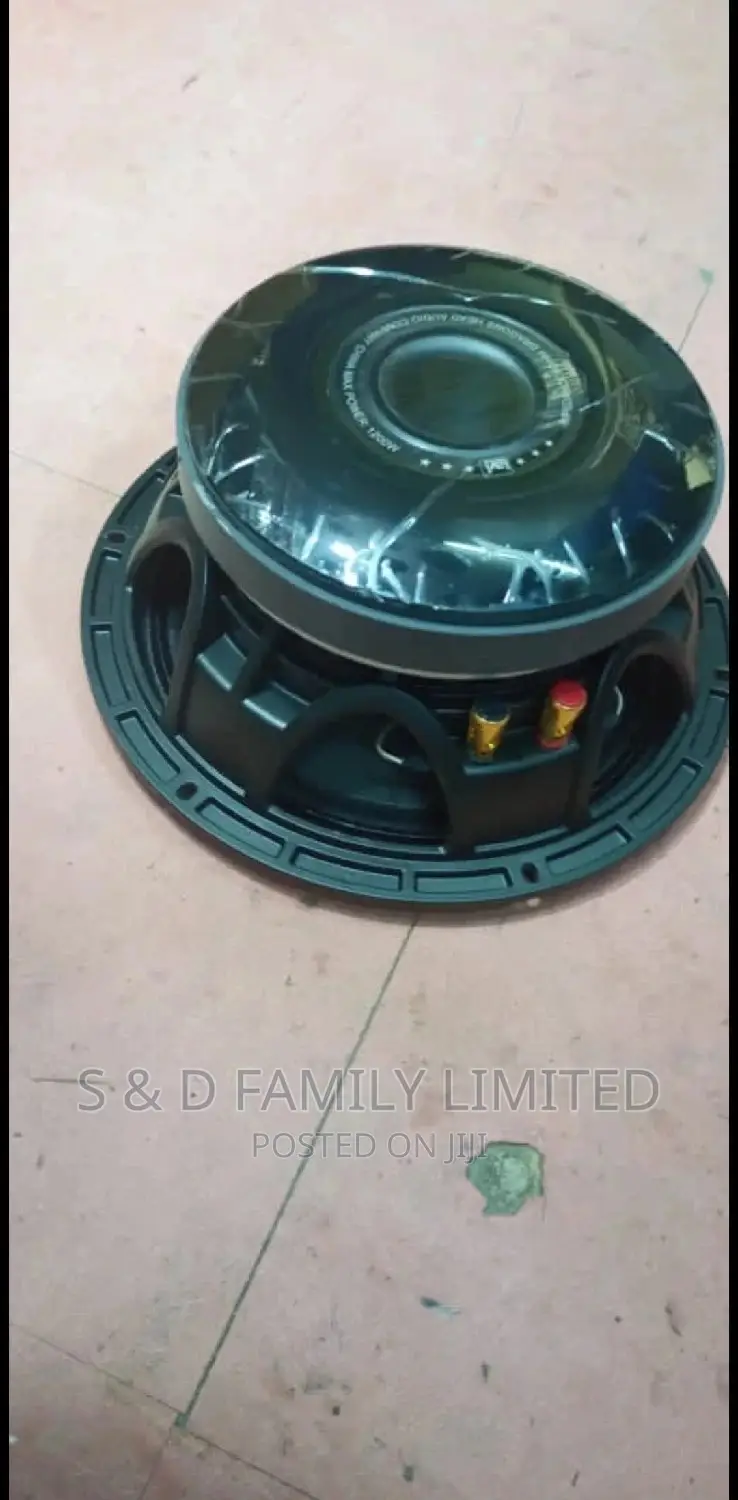 Lavi 10 Inch Speaker