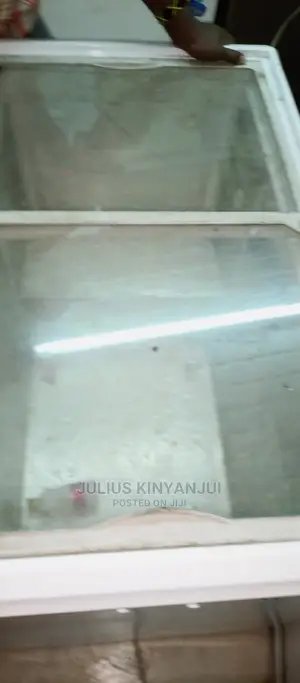 350L Deep Freezer