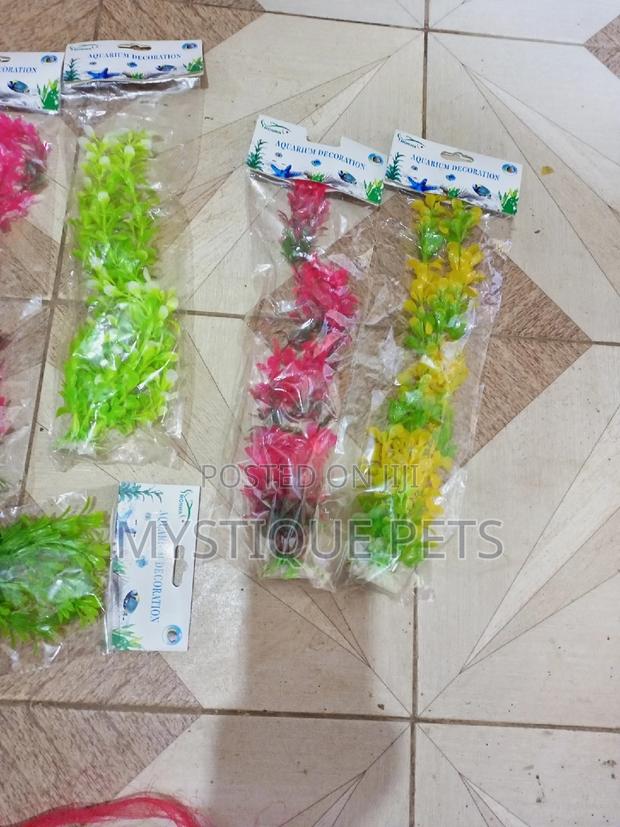 Aquarium Artificial Plants - main view