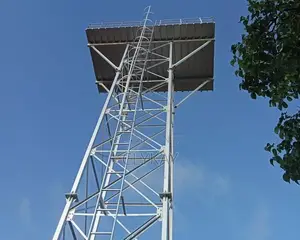 Raised Steel Tower and Steel Tank Metallic