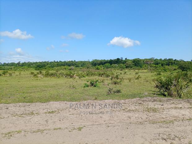 Twenty Five Acres of Agricultural Land - thumbnail 5