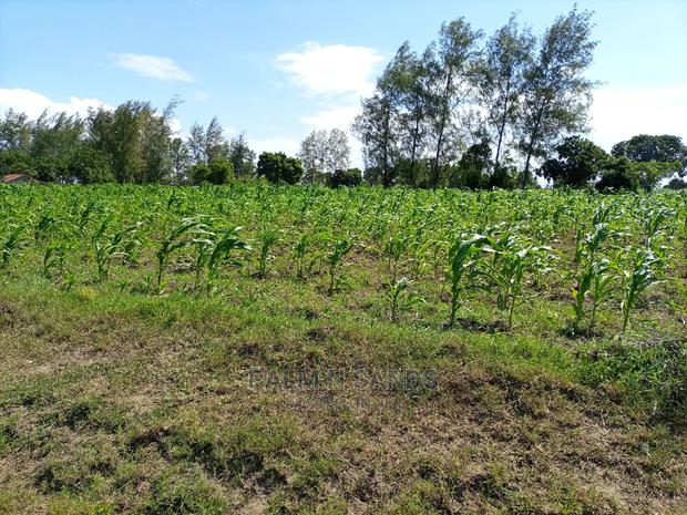 Twenty Five Acres of Agricultural Land - main view