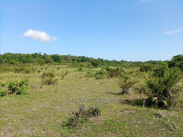 Twenty Five Acres of Agricultural Land - thumbnail 4