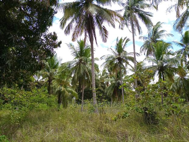 Twenty Five Acres of Agricultural Land - thumbnail 6