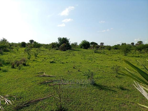 Twenty Five Acres of Agricultural Land - thumbnail 7