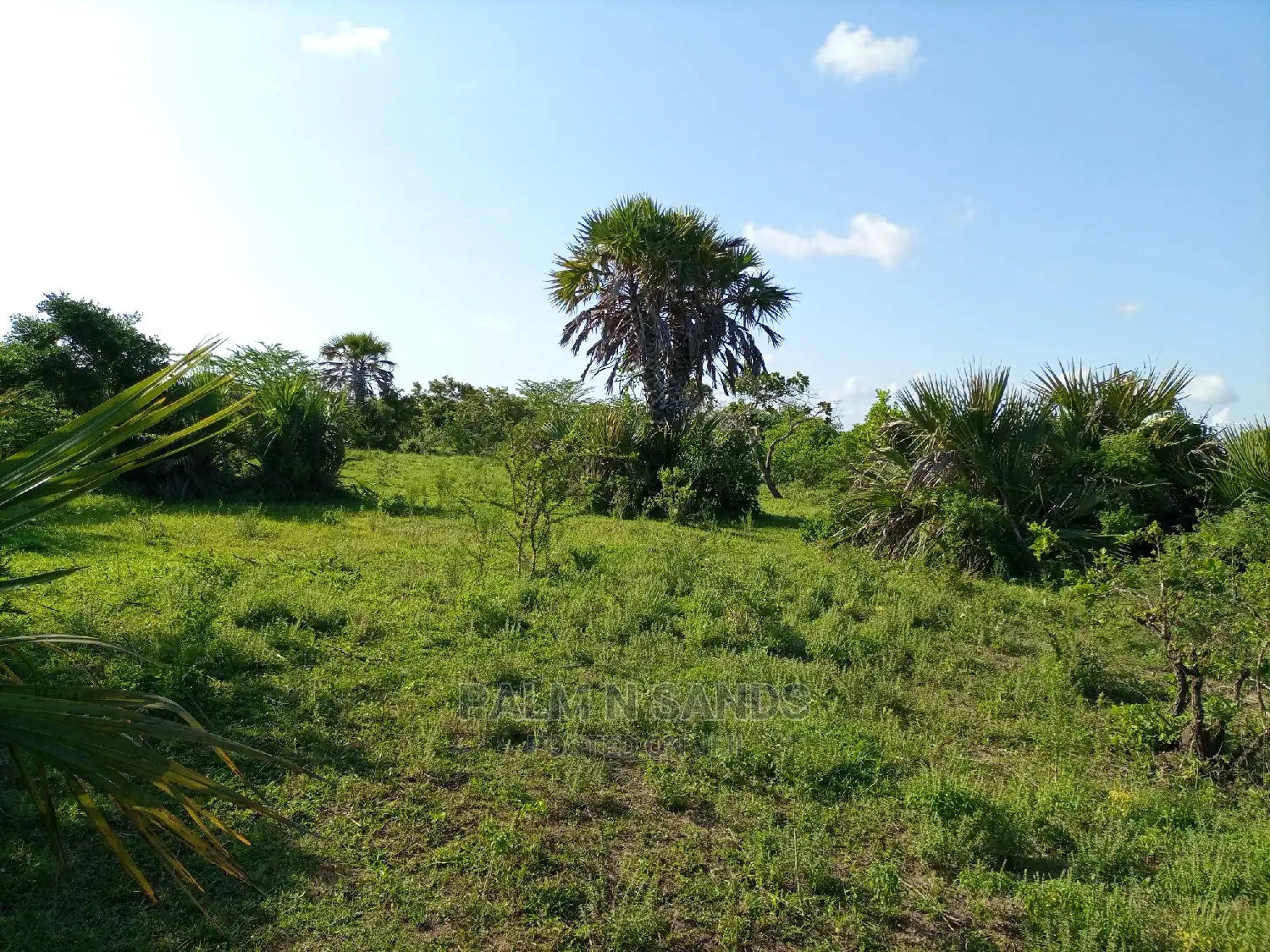 Twenty Five Acres of Agricultural Land