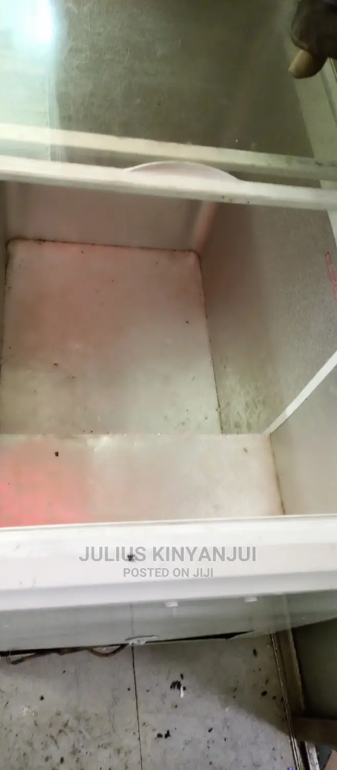 300 Litres Freezer