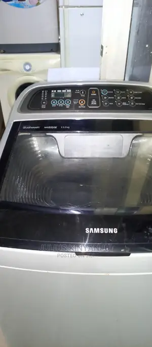 13kg Samsung Evo Wobble Washer