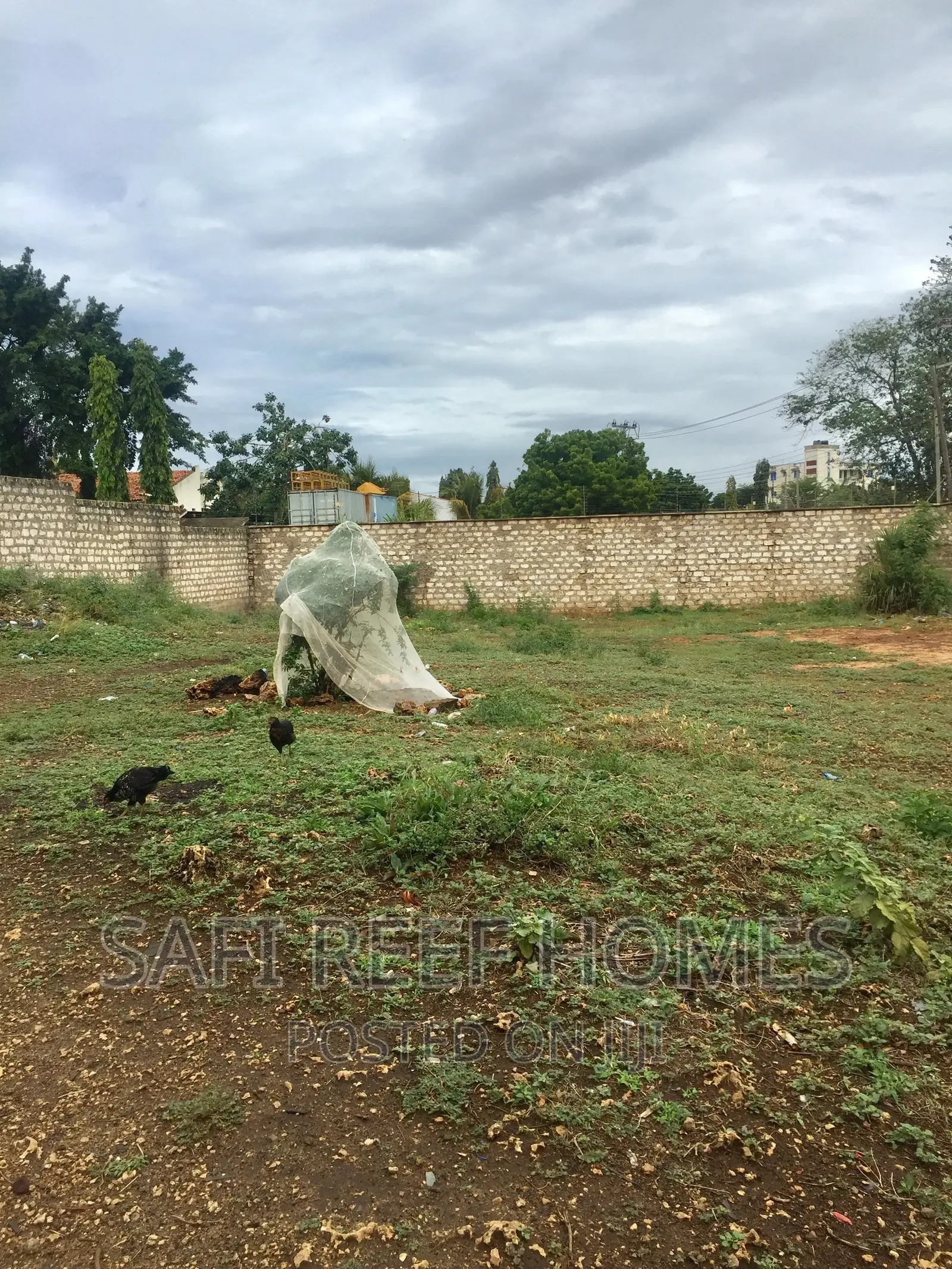 1/4( Quarter) Plot in Nyali for Sale