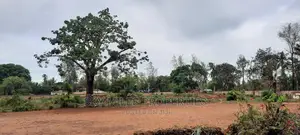 Mtwapa Coca-Cola 6 Acres on Sale