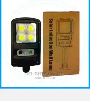 Solar Induction Wall Lamp
