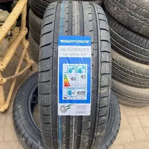 245/45 ZR19 Windforce Tyre Made in China Nylon