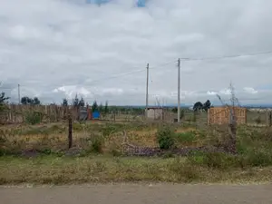 1/4 Plots on Sale in Chaka