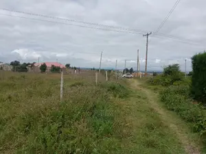 Prime Plots in Nanyuki