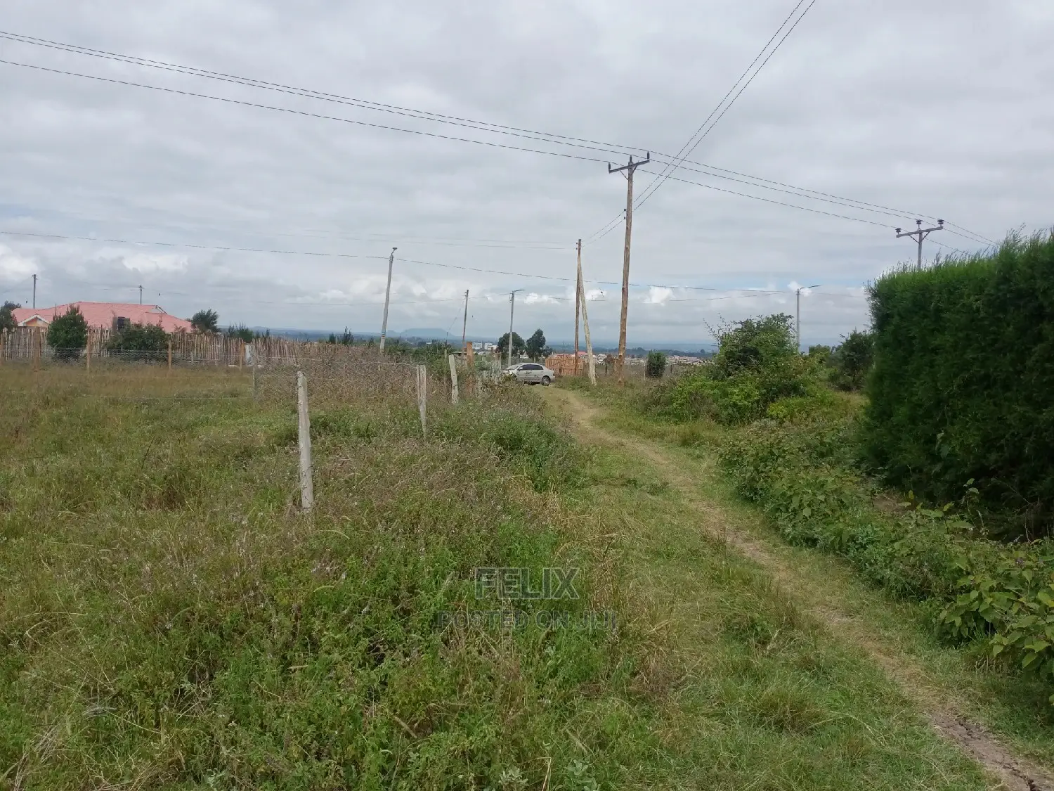 Prime Plots in Nanyuki