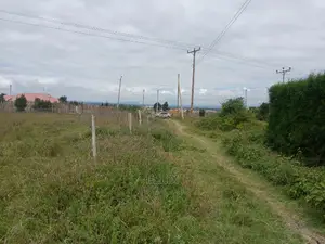 Prime Plots in Nanyuki