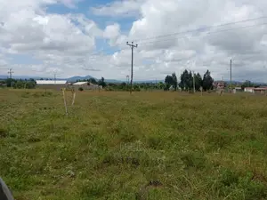 Prime Plots in Nanyuki