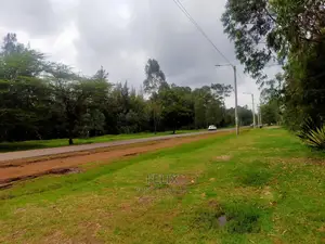 Quarter Plots Sale in Marua