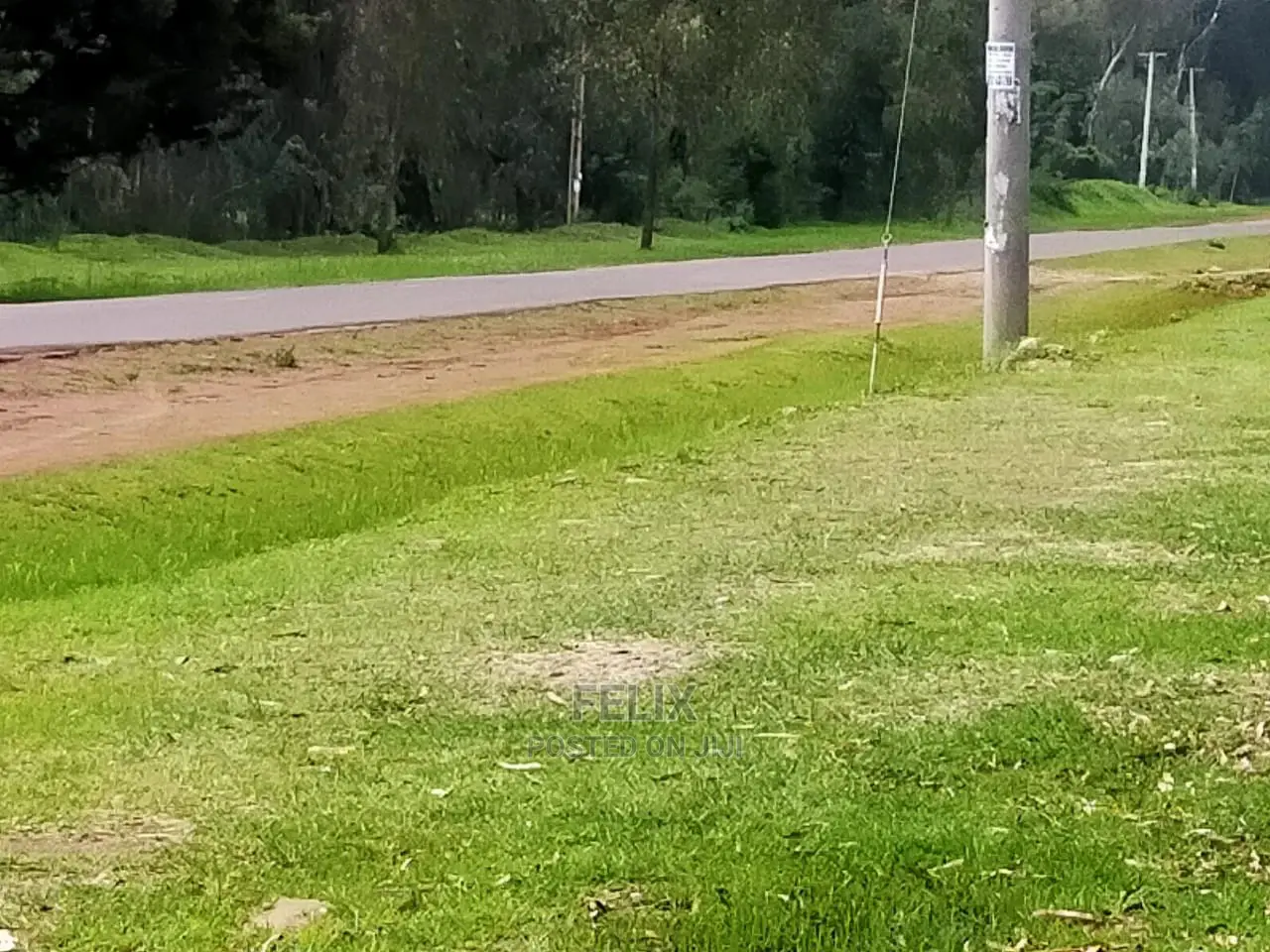 Quarter Plots Sale in Marua