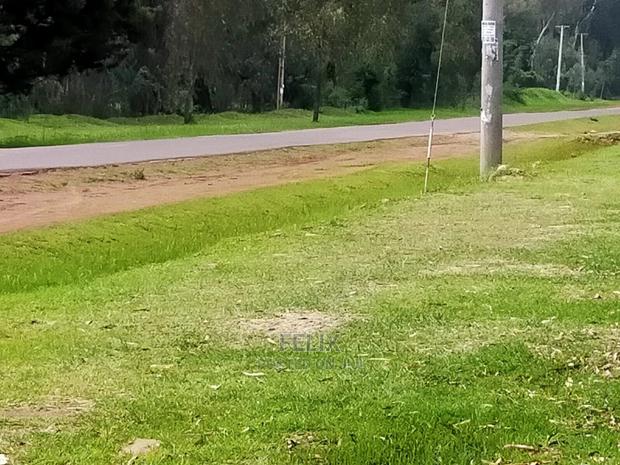 Quarter Plots Sale in Marua
