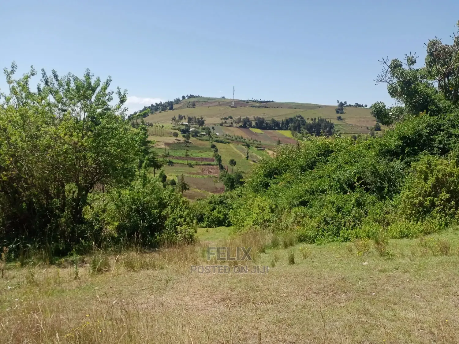 Quarter Plots Sale in Marua