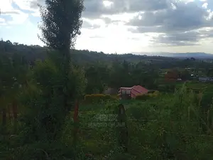 Prime Plots in Ruthagati Karatina