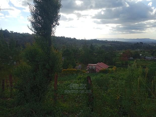 Prime Plots in Ruthagati Karatina - main view