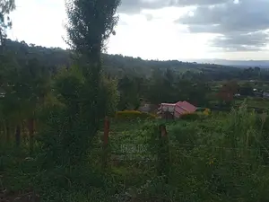 Prime Plots in Ruthagati Karatina