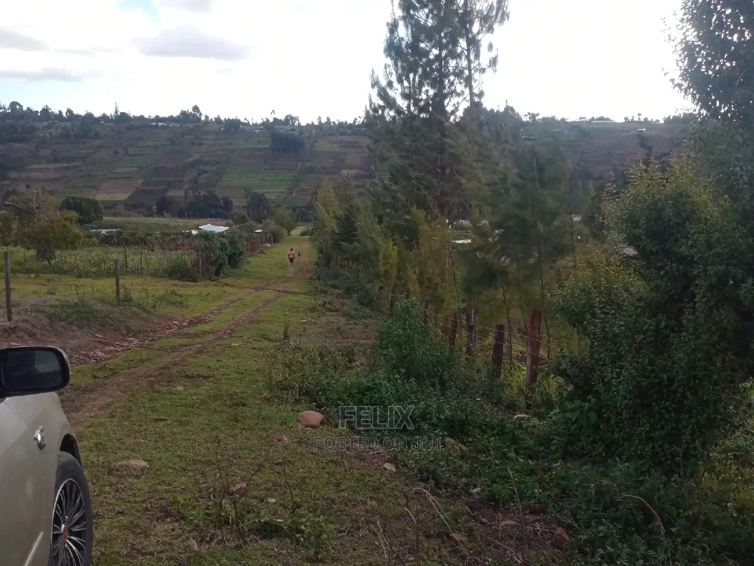 Prime Plots in Ruthagati Karatina