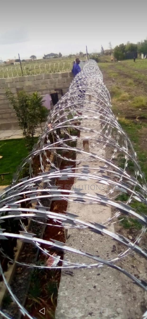 Silver Razor Wire 450mm - thumbnail 2