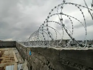 Silver Razor Wire 450mm