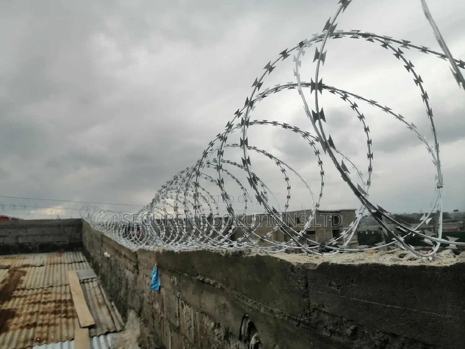 Silver Razor Wire 450mm