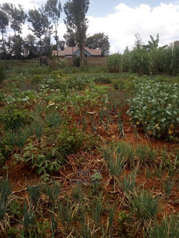 Prime Land on Sale in Karatina - main view