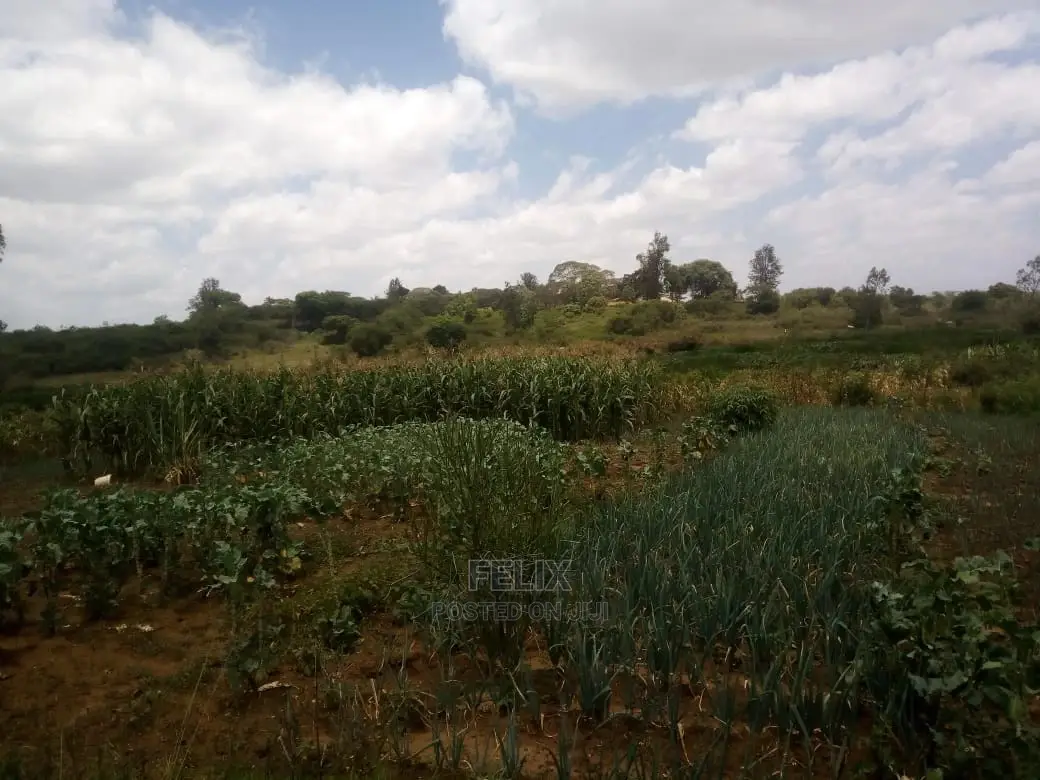Prime Land on Sale in Karatina