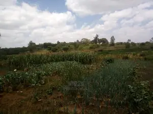 Prime Land on Sale in Karatina