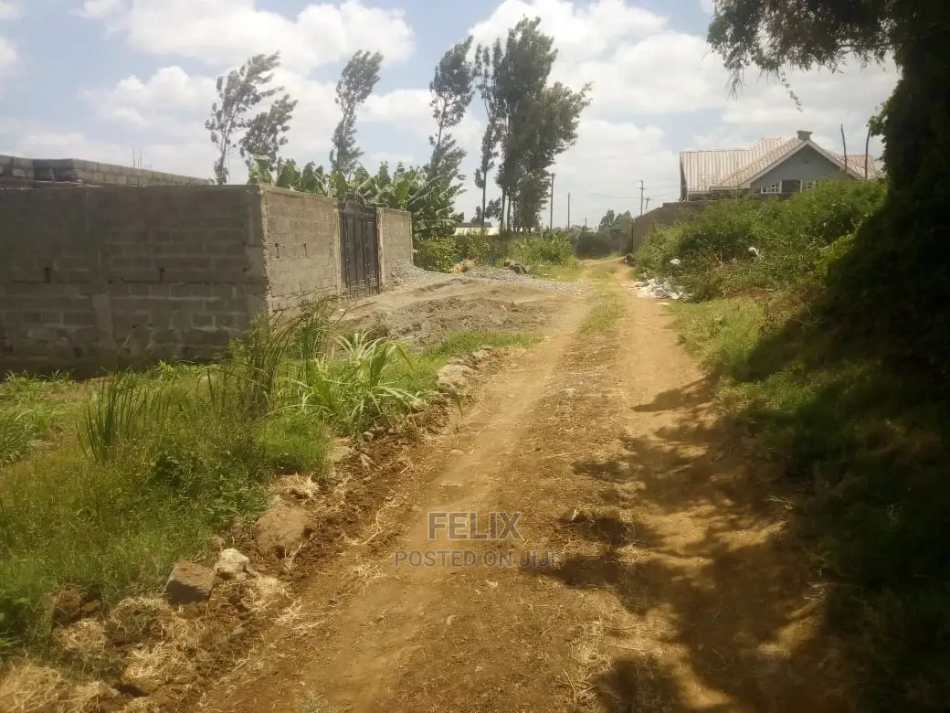 Prime Land on Sale in Karatina