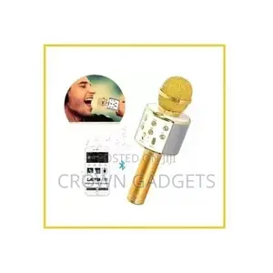 Karaoke Mic With Built-in Speakers