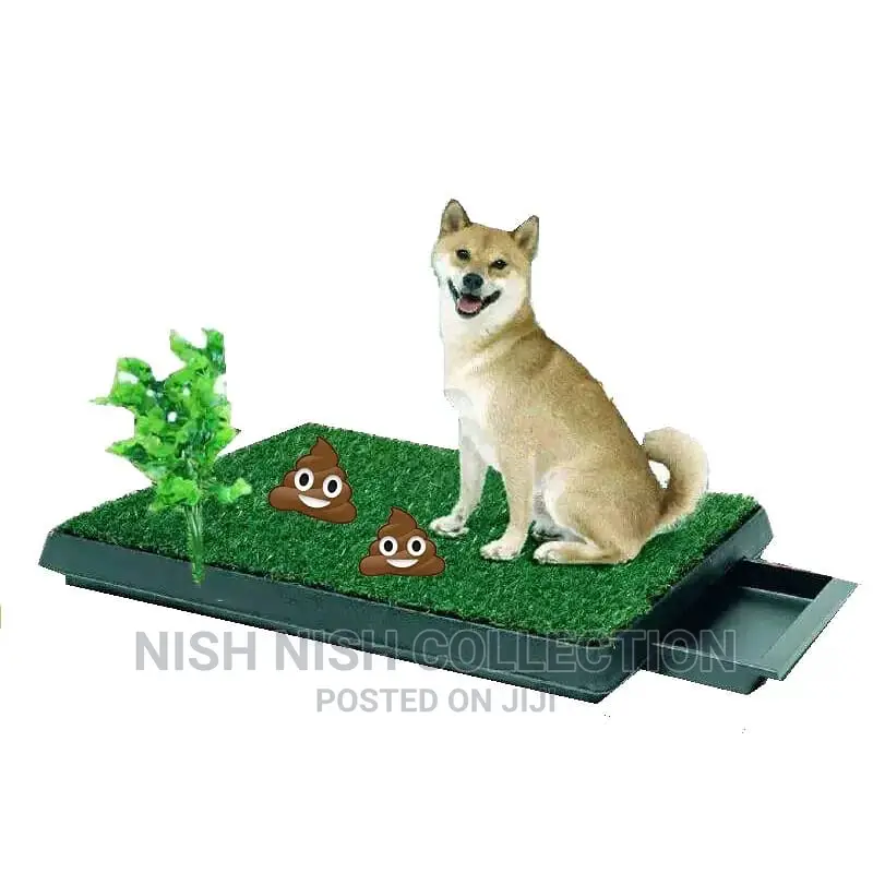 Pet Training Tool