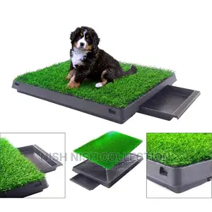 Pet Training Tool