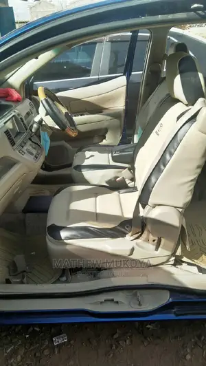 Toyota Raum Car Seat Covers