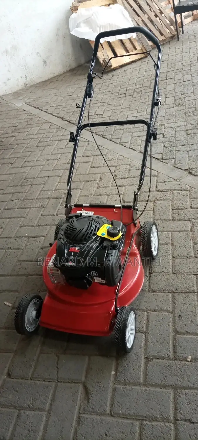 Petrol Lawnmower
