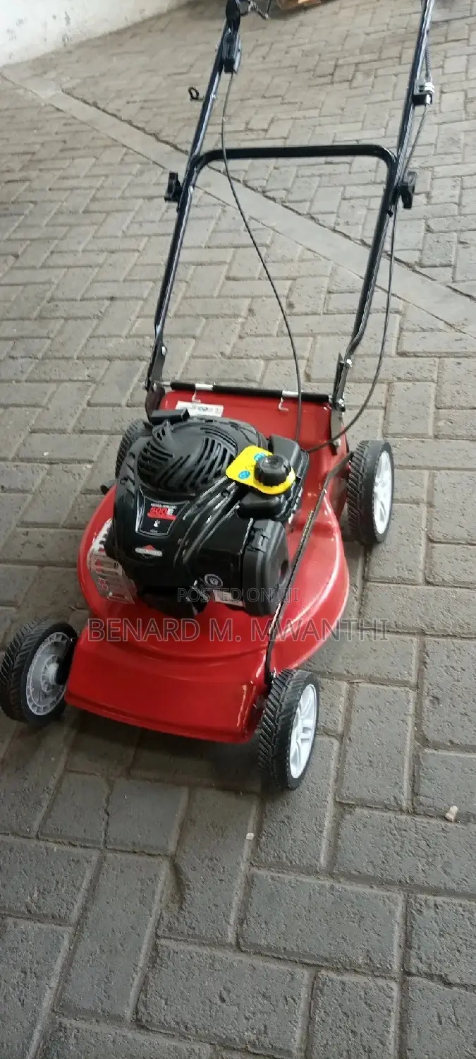 Petrol Lawnmower