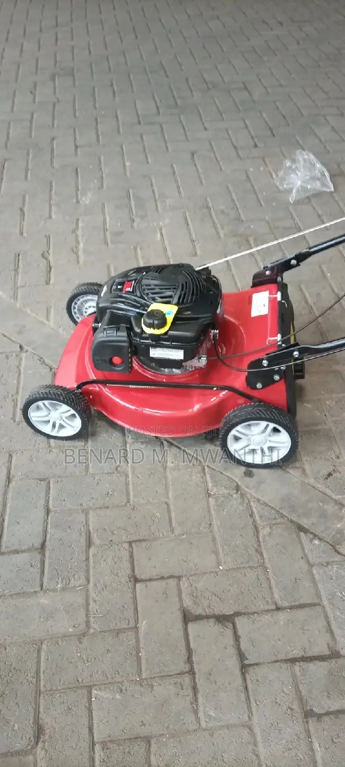 Petrol Lawnmower
