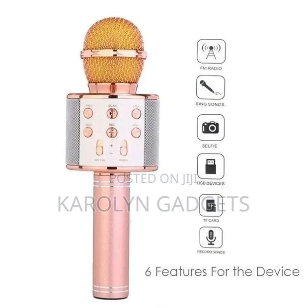 WS-858 Wireless Karaoke Microphone