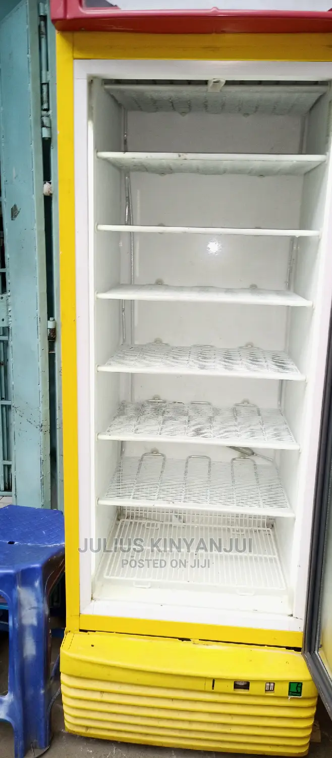 Upright Freezer Display