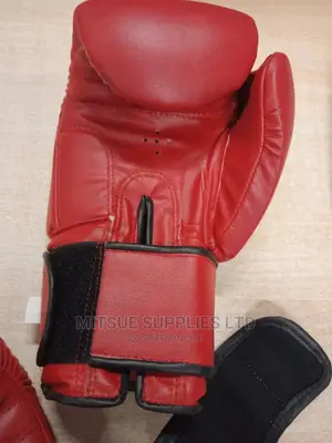 A Pair of Boxing Gloves 14 Oz